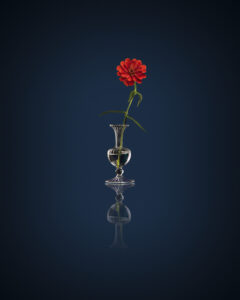 Flower in glass vase with blue background